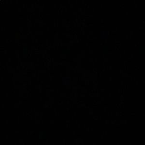 Meet your Posher, Jaden